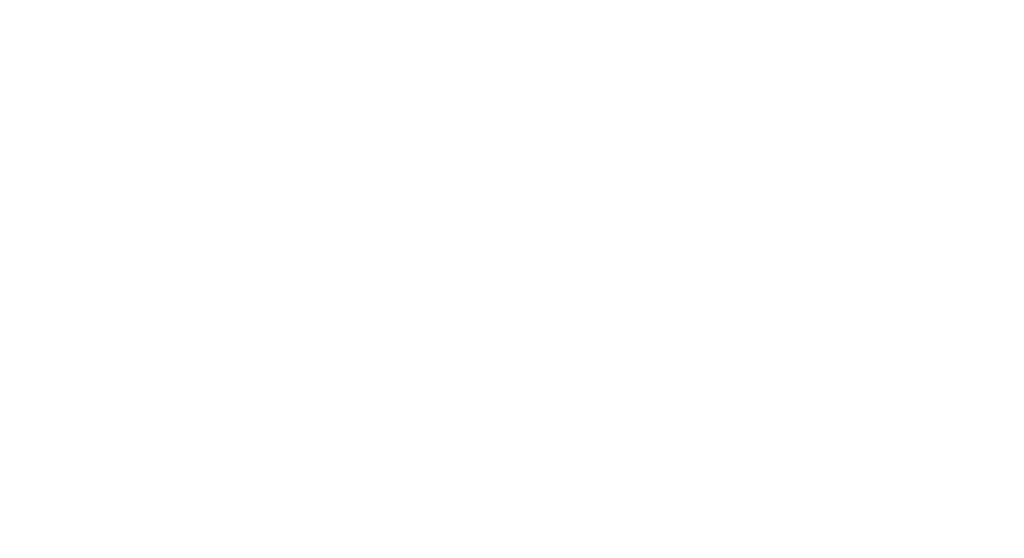 North Vanguard Press